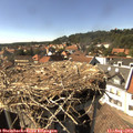 15_55-nest.jpg
