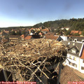 16_15-nest.jpg