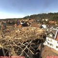 16_20-nest.jpg