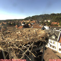 16_40-nest.jpg