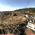 17_05-nest.jpg