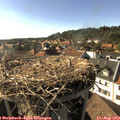 17_25-nest.jpg