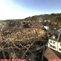 18_10-nest.jpg