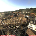 18_15-nest.jpg