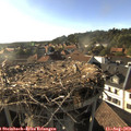 18_20-nest.jpg