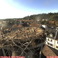 18_25-nest.jpg