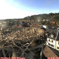 18_30-nest.jpg