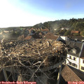 18_35-nest.jpg