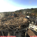 18_40-nest.jpg