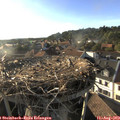 18_45-nest.jpg