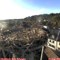 19_05-nest.jpg