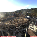 19_10-nest.jpg