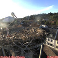 19_20-nest.jpg