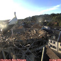 19_25-nest.jpg