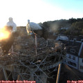 20_25-nest.jpg