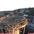 06_20-nest.jpg