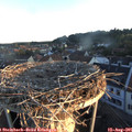 06_25-nest.jpg