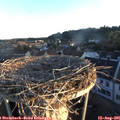 06_30-nest.jpg