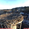 06_40-nest.jpg