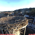 06_45-nest.jpg