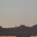 06_50-mast.jpg
