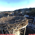 06_50-nest.jpg