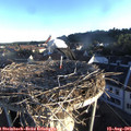 06_55-nest.jpg