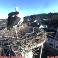 07_35-nest.jpg