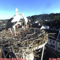 07_40-nest.jpg
