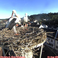 07_45-nest.jpg