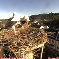 08_00-nest.jpg