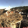 08_45-nest.jpg