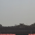 09_00-mast.jpg