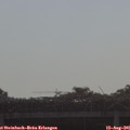 09_10-mast.jpg