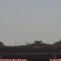 09_15-mast.jpg