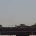 09_20-mast.jpg