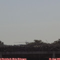 09_25-mast.jpg