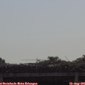 09_35-mast.jpg