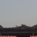09_55-mast.jpg