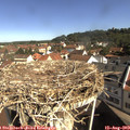 10_05-nest.jpg