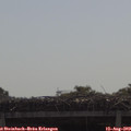 10_20-mast.jpg
