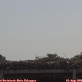 10_25-mast.jpg