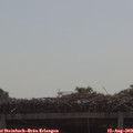 10_30-mast.jpg
