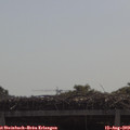 10_35-mast.jpg