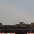 10_40-mast.jpg