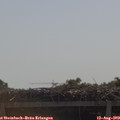 10_45-mast.jpg