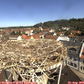 10_50-nest.jpg