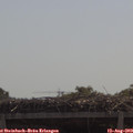 11_05-mast.jpg