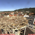 11_05-nest.jpg