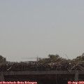 11_10-mast.jpg